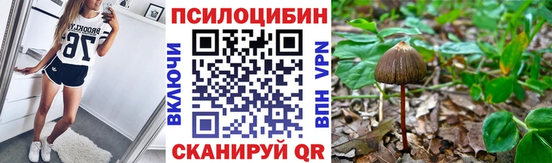 Галлюциногенные грибы Psilocybine cubensis  Купить закладки  Таруса 