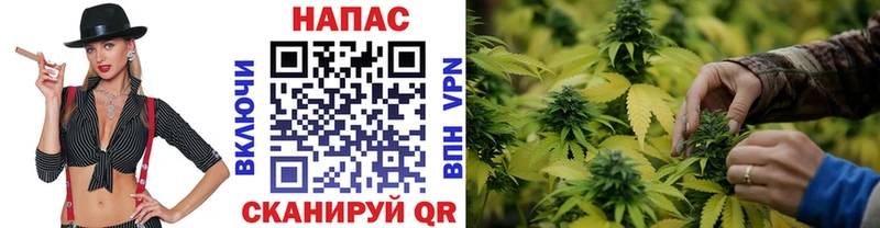 Бошки марихуана тримм  Купить где  Таруса 